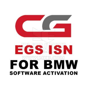 CGDI -A000000A EGS ISN For BMW (Yazılım Aktivasyonu)